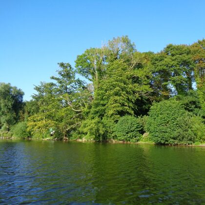 Blick vom Wasser auf das Land