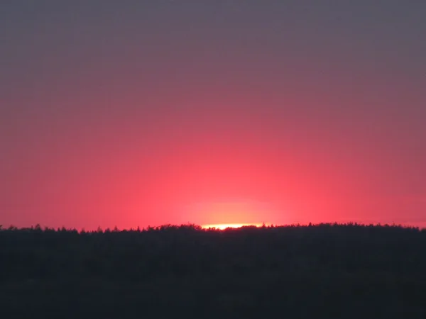 Sonnenuntergang über dem großen Plöner See