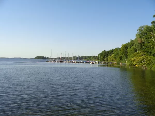 Blick auf den Seglerhafen Bosau 