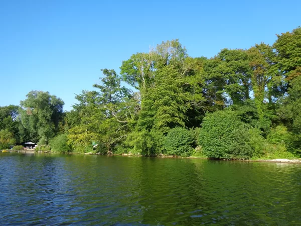 Blick vom Wasser auf das Land